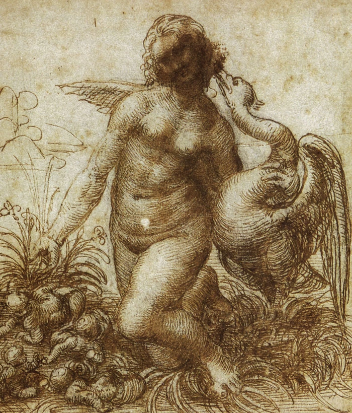 98-studio di Leda e il cigno-1